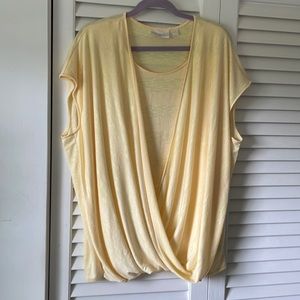 Belle by Kim Gravel Bundle of Tops, 2X